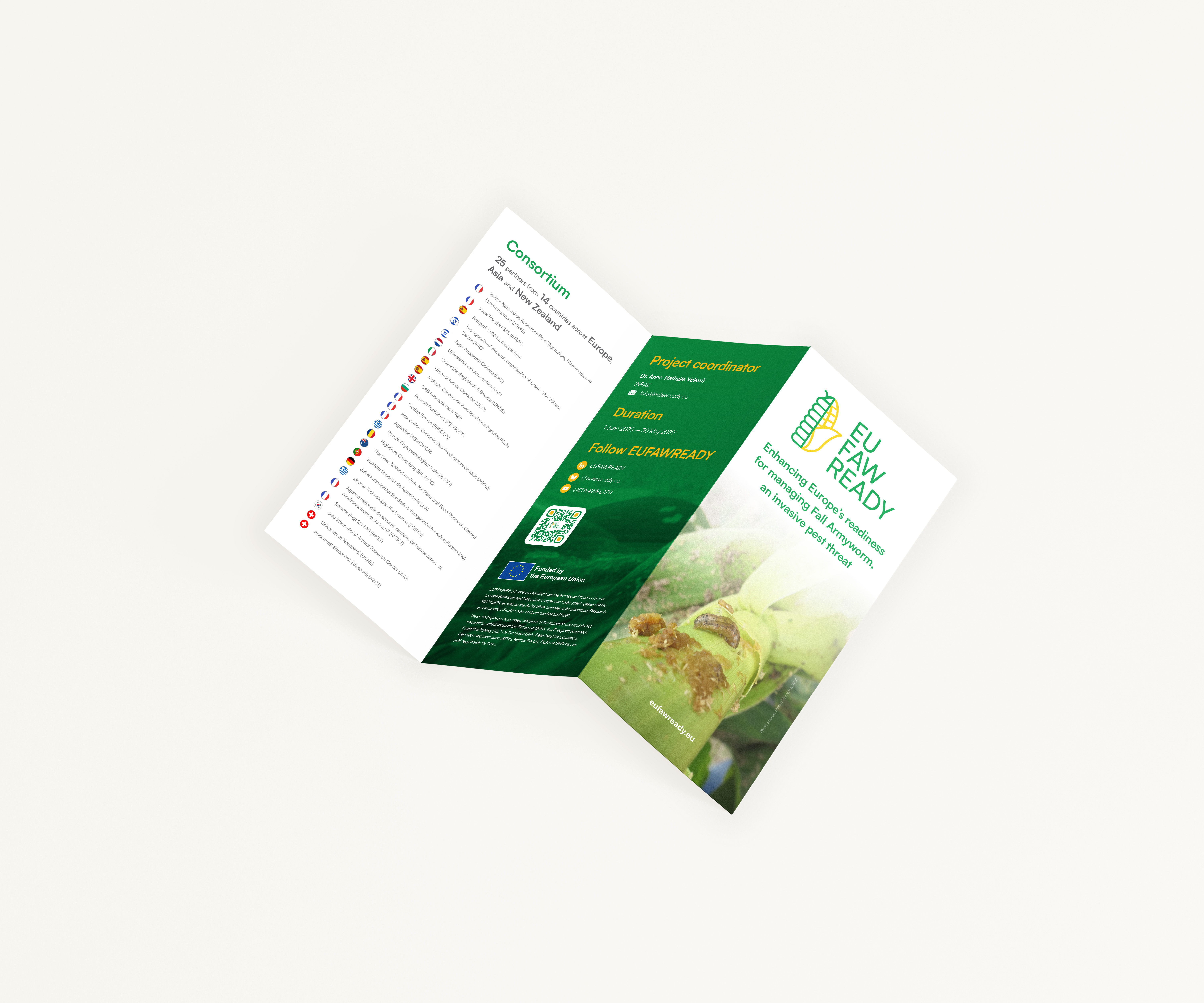 Brochure promotional flyer preview