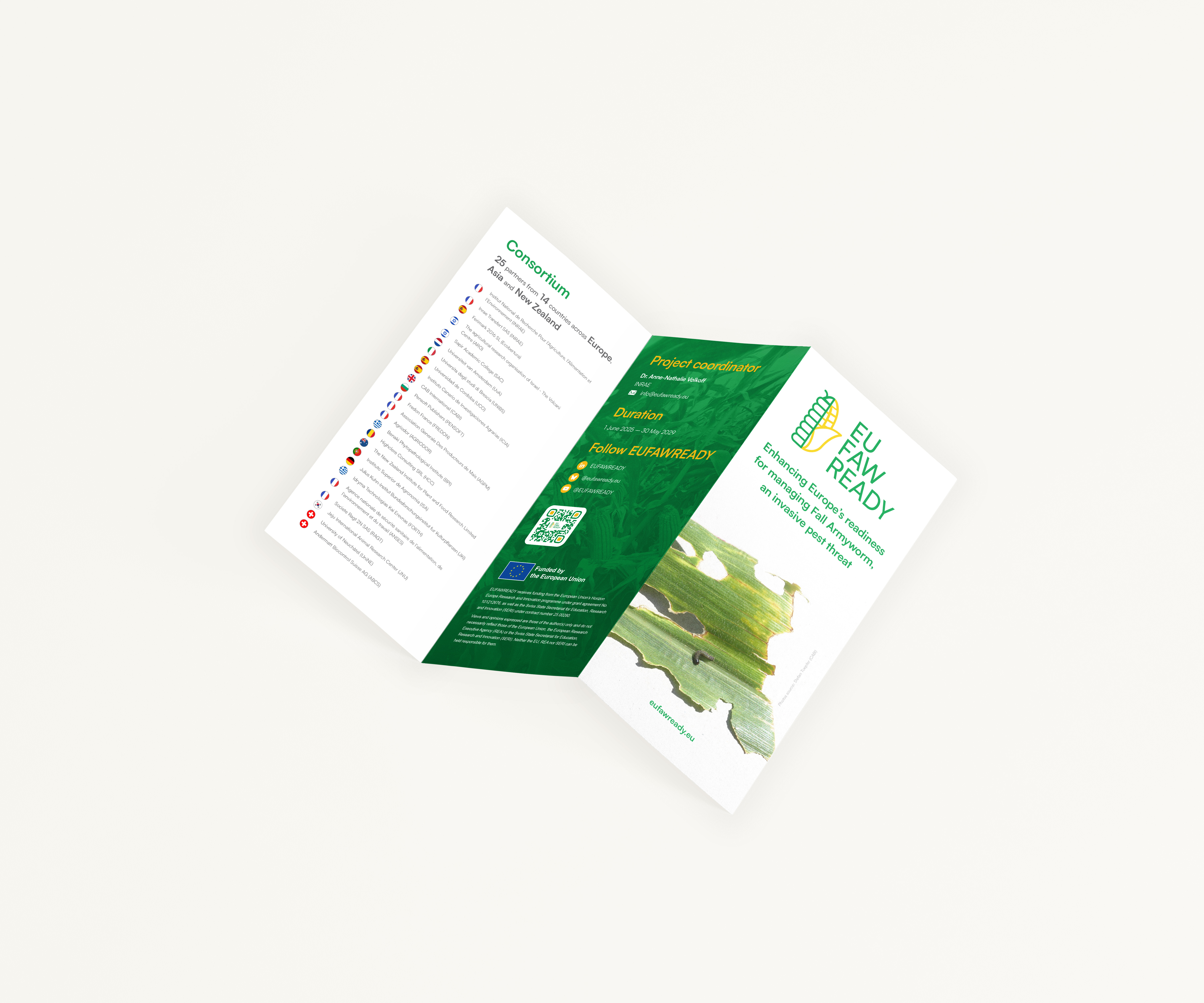 Alternate brochure promotional flyer preview